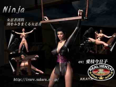 Ninja / Ниндзя (jap) (2014) GameRip
