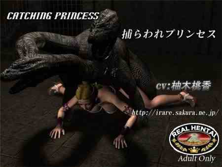Catching Princess / Пленение принцессы (jap) (2013) DLversion