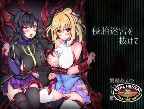 Exiting the labyrinth (2015/PC/Japan)