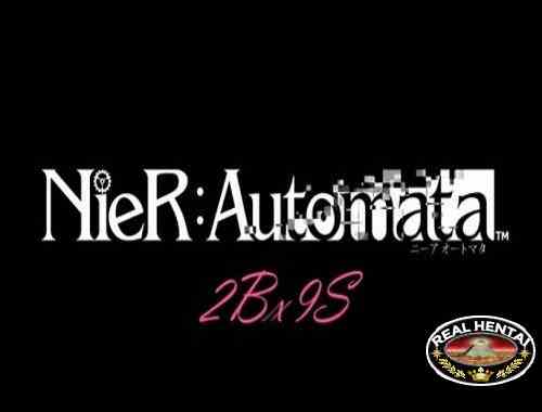 Nier: Automata 2Bx9S