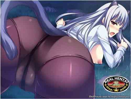 Sexy Demon Transformation! (2012/PC/ENG/Japan)