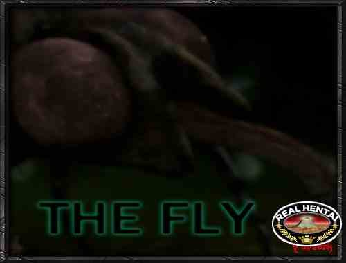 The Fly
