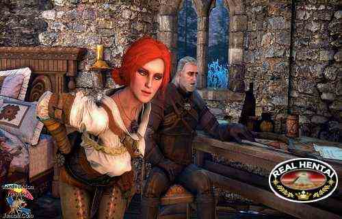 The Witcher - episode with Demiitris