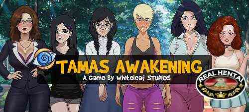 Tamas Awakening [v.1.0b] [2022/PC/ENG/RUS] Uncen