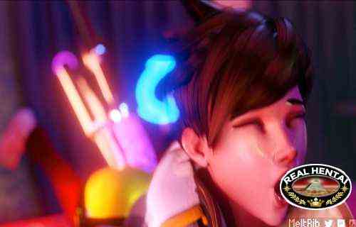 Meltrib Assembly 2019-2020