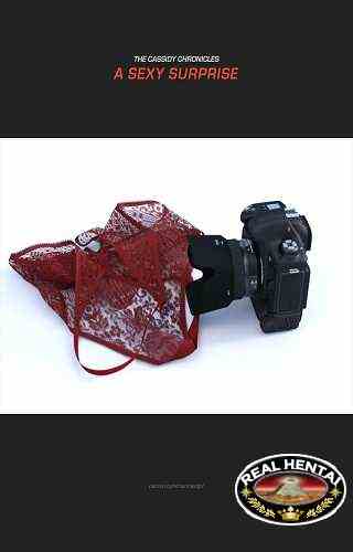 Cassidy Chronicles 28 - A Sexy Surprise